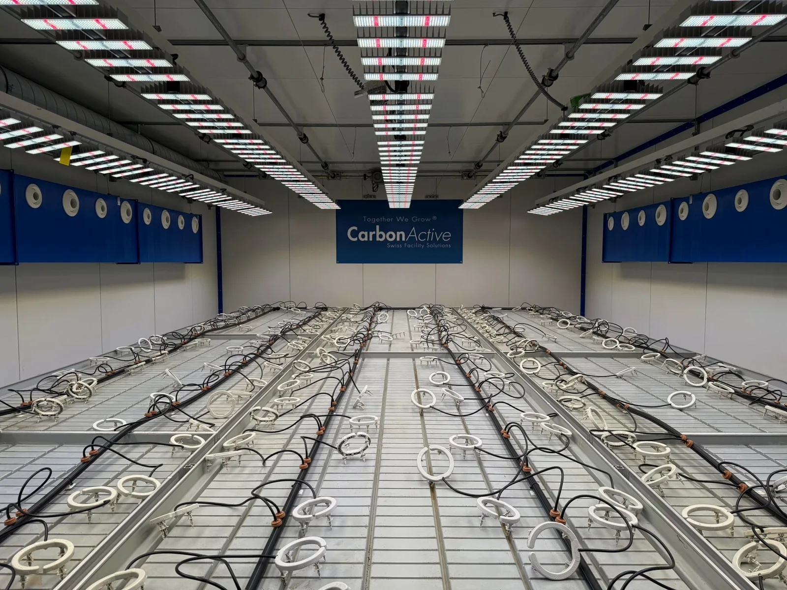 South Side Organics e.V. Raum Stuttgart — Aufbau- und Anlagenaufnahme 5
